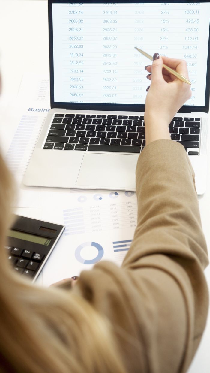 services-02 Business professional analyzing financial data on a laptop for strategic decision making.